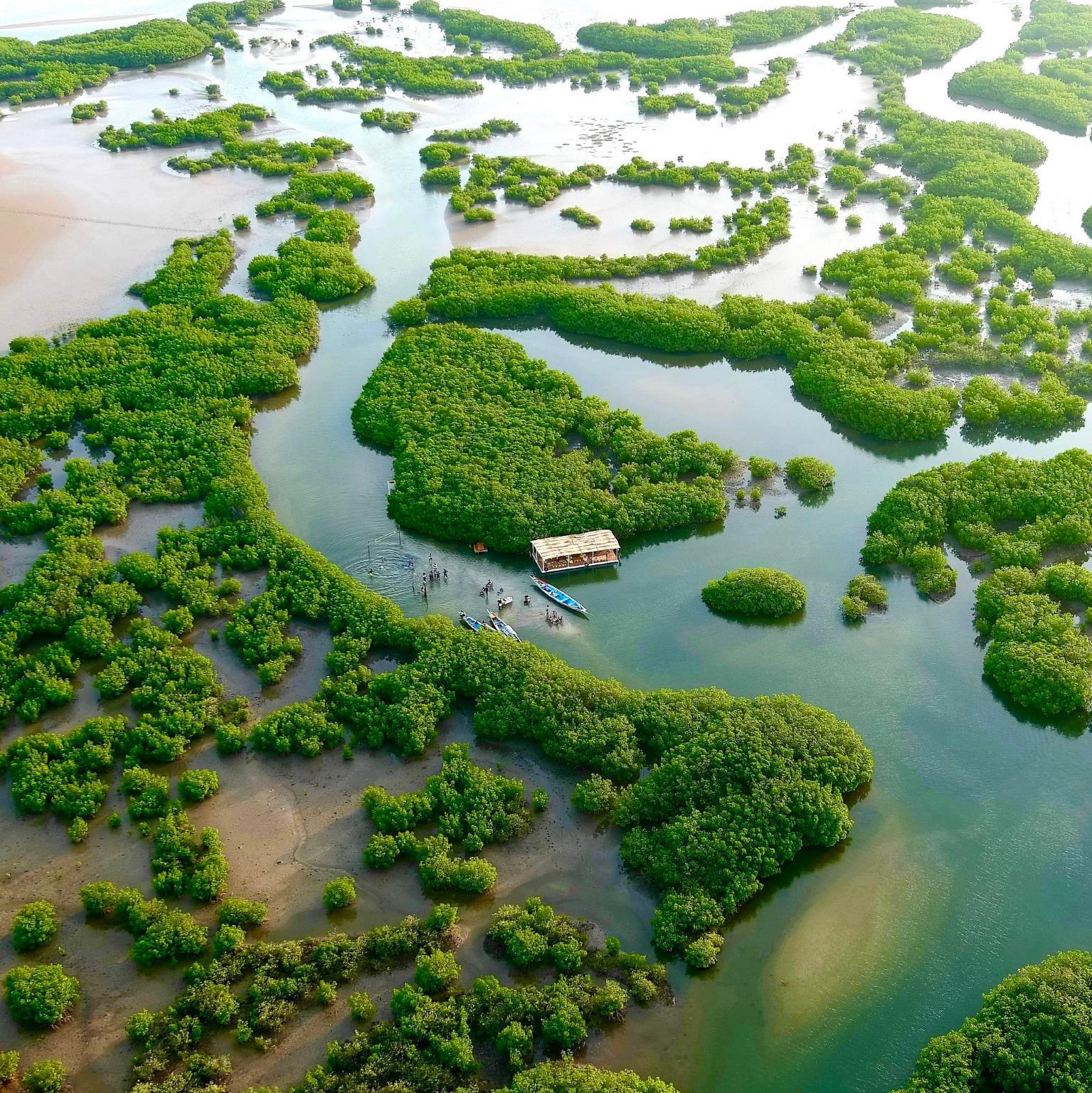 Paysage naturel sénégalais préservé, symbole de l'engagement écologique de SLT